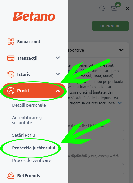 Cum iti inchizi contul la Betano - pasul 4